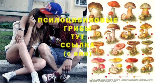 стафф Алексин