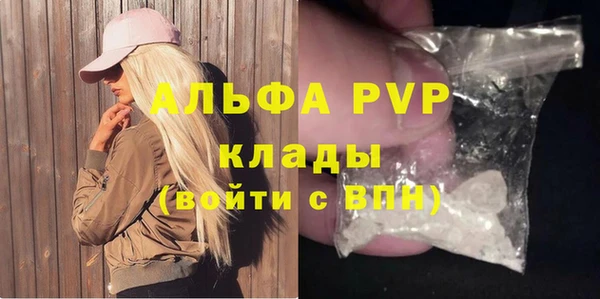 стафф Алексин