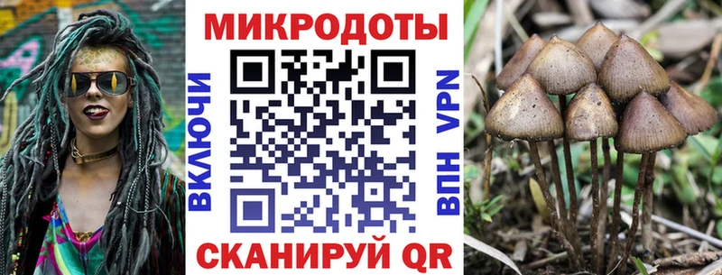 Галлюциногенные грибы MAGIC MUSHROOMS  закладка  МЕГА ТОР  Лагань 